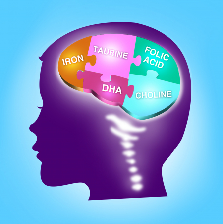 image of brain with different nutrients that it needs