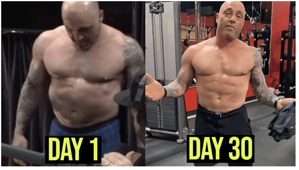 joe rogan carnivore diet before and after pictures
