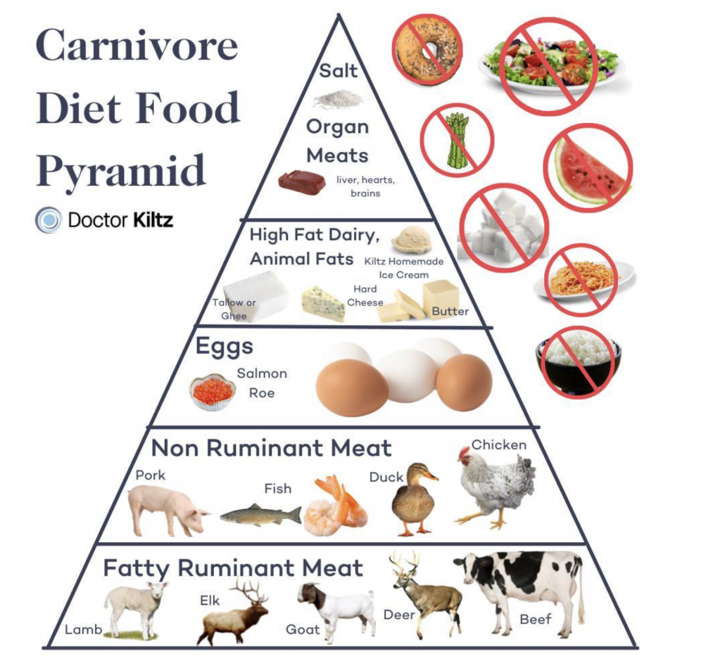 food pyramid for carnivore diet