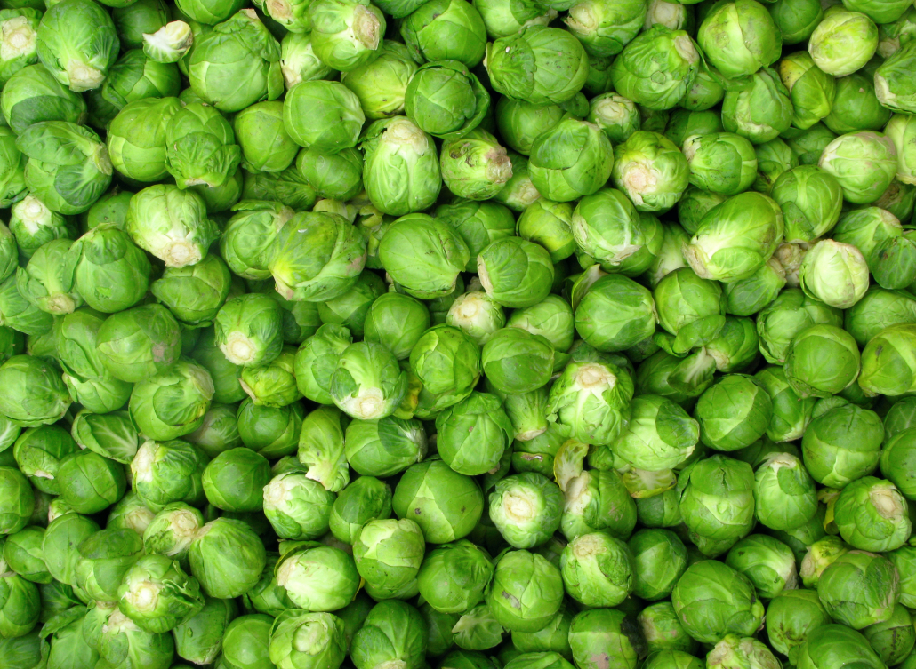 Lots of small green Brussel sprout vegetables.