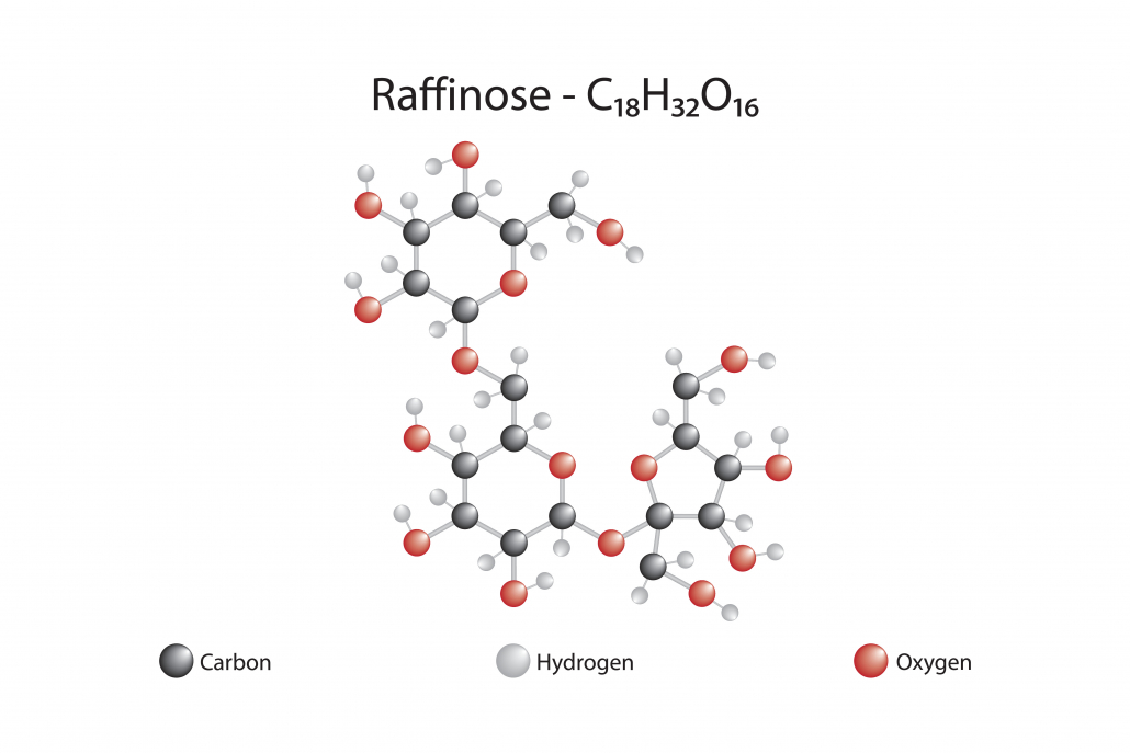 molecule of raffinose
