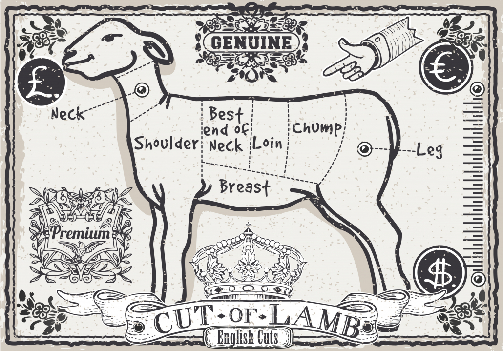 Detailed illustration of a Cut of Lamb on Vintage Page