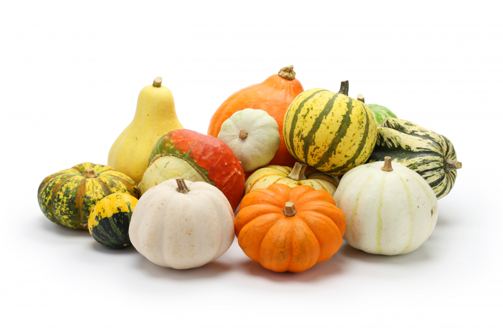 colorful pumpkin and squash collection