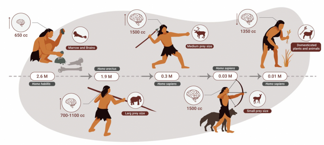 timeline of human carnivory