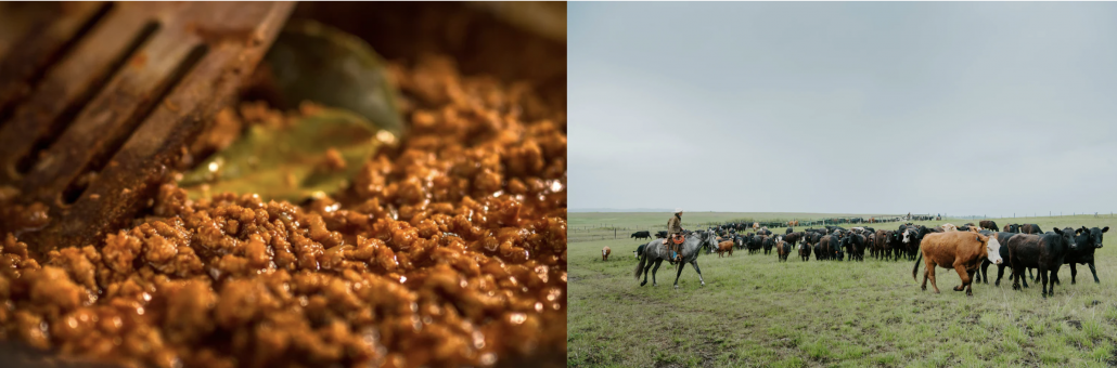 image of pastured cows and ground beef with organs