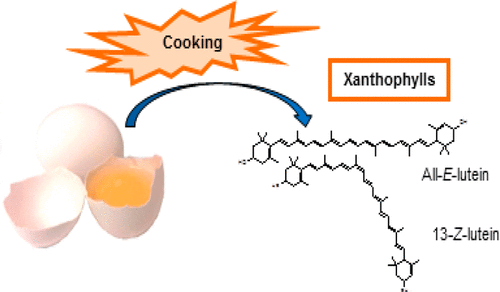 image showing how cooking eggs reduces antioxidants