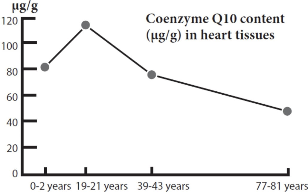 graph showing decline of coQ10 in heart with age