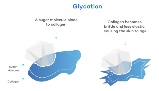 diagram of process of glycation-sugar molecule attaching to collagen 