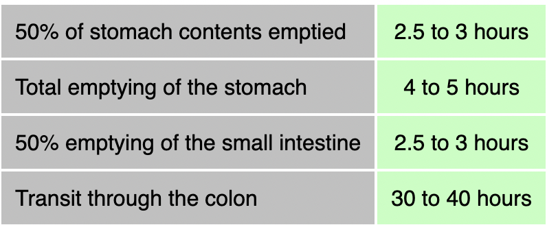 table showing time of different digestive processes