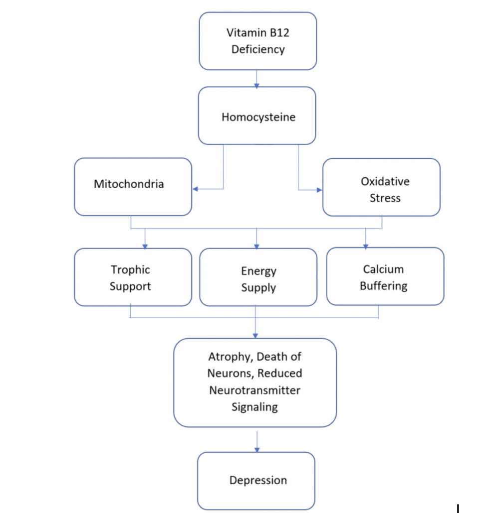 graph showing how vitamin B deficiency leads to depression