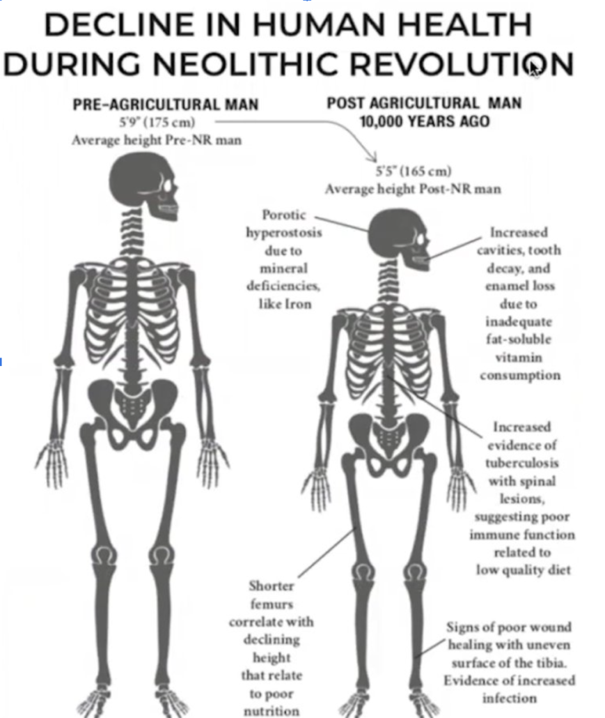 comparison of pre-agricultural skeleton with post-agricultural skeleton