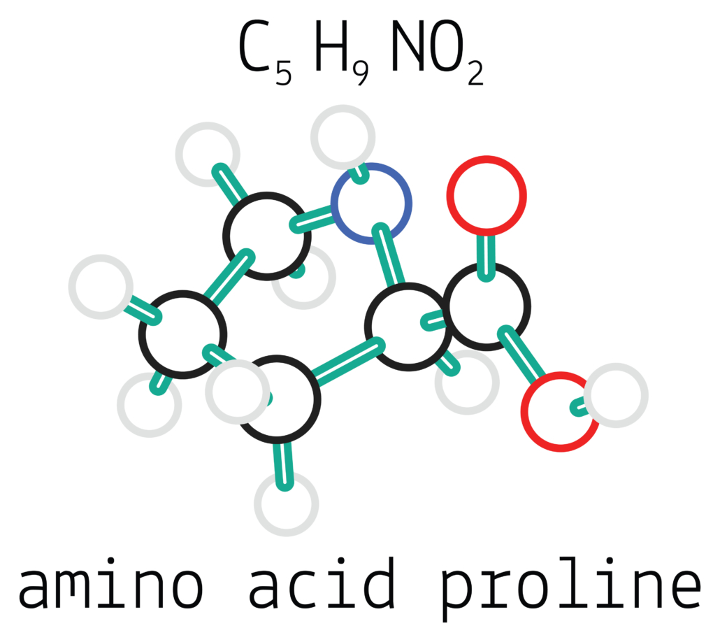 C5H9NO2 proline 3d amino acid molecule isolated on white