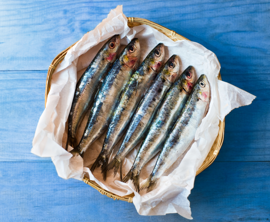 Fresh mediterranean sardines in a blue table.