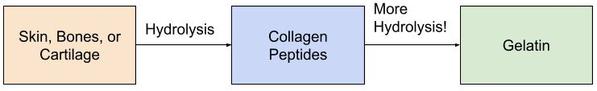 flow chart of collagen