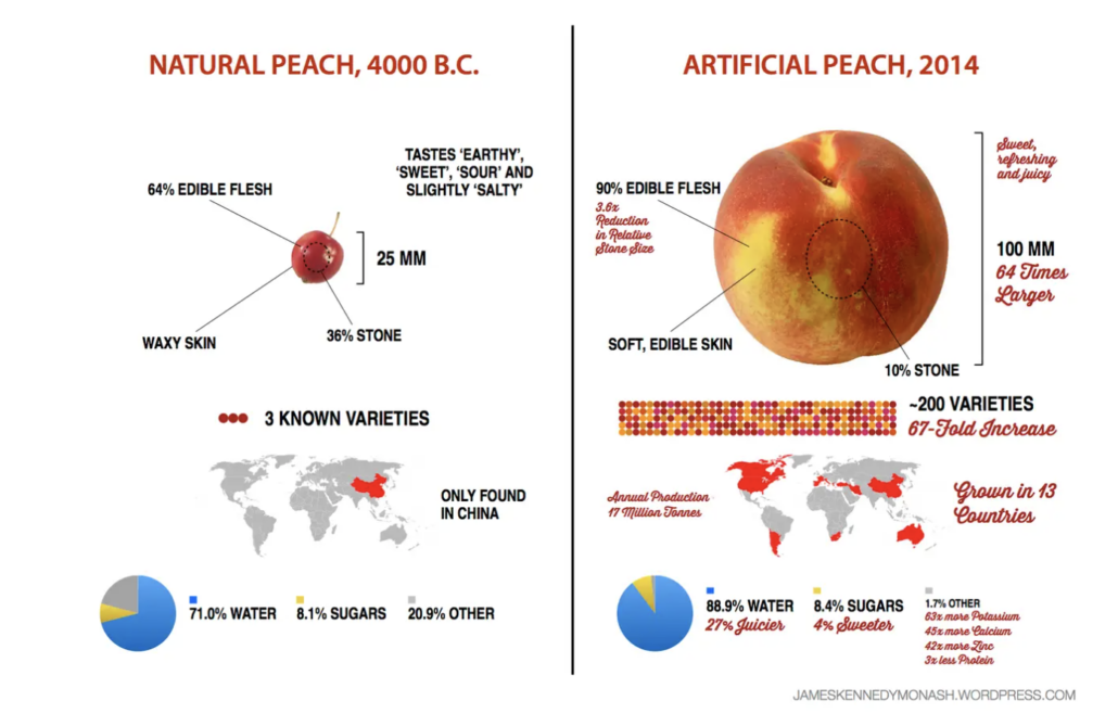 natural vs cultivated peaches