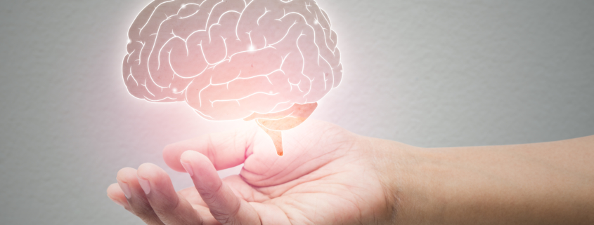 Man holding brain illustration against gray wall background. Concept with mental health protection and care.