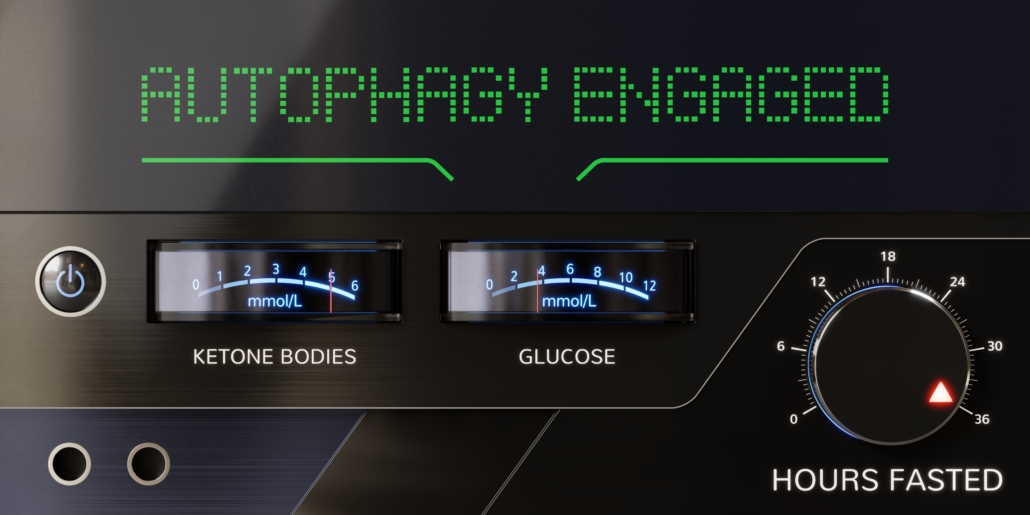 dials showing autophagy engaged