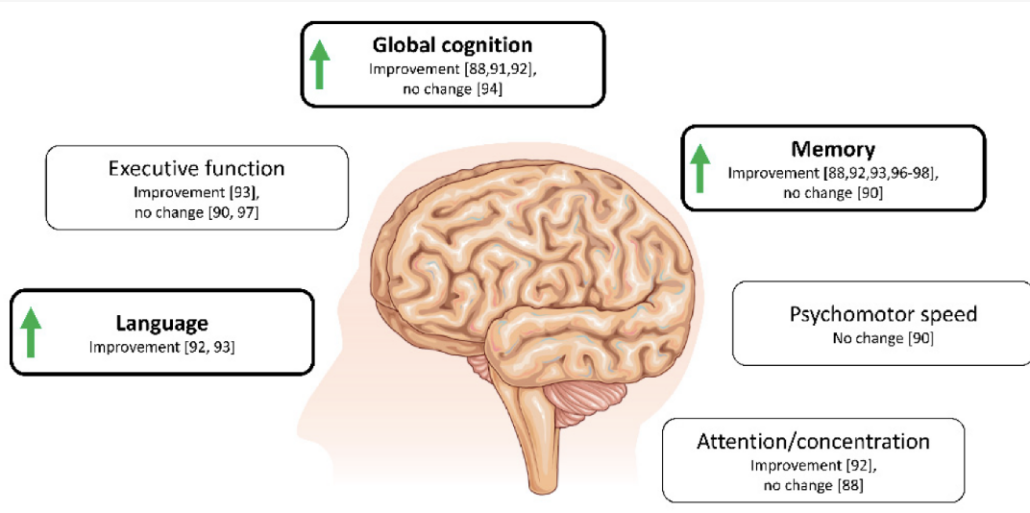 diagram of brain with benefits of ketones