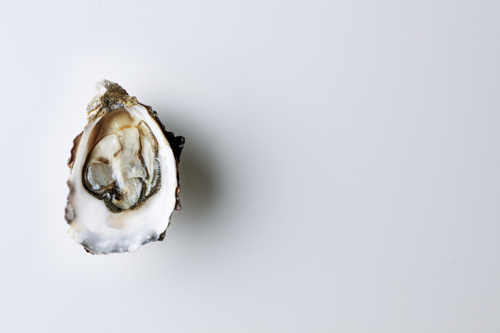 Open oyster on white background