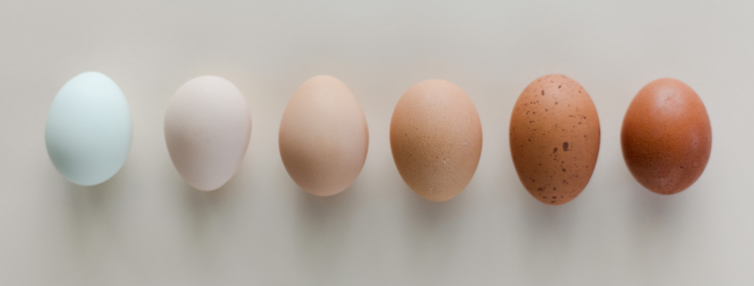 Eggs by color