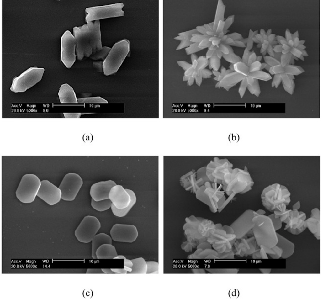 microscope images of oxalate crystals