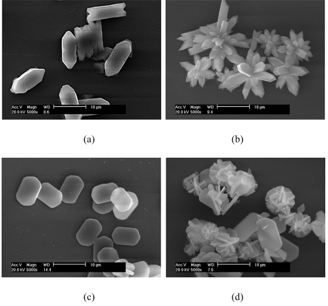 What is Oxalate Dumping? Dr. Robert Kiltz