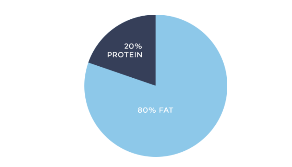 chart showing 80-20 fat to protein ratio for carnivore diet