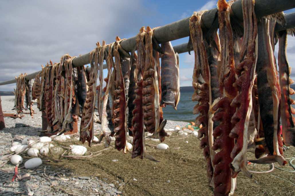 Drying fish