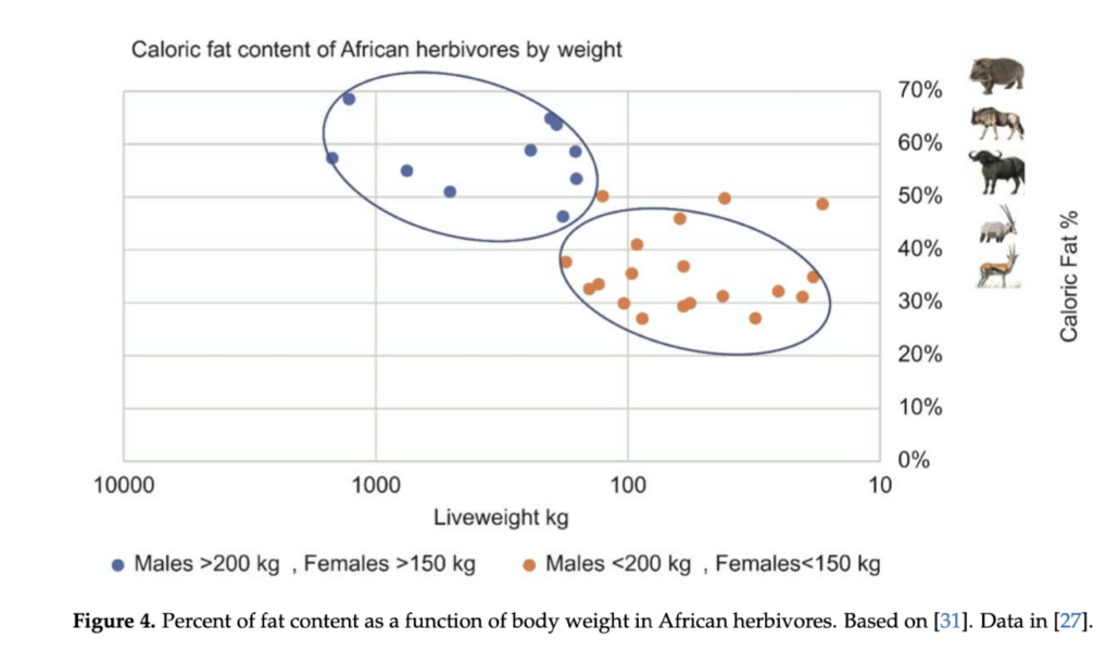 graph showing fat to protein ratio of large animals that humans consumed as meat