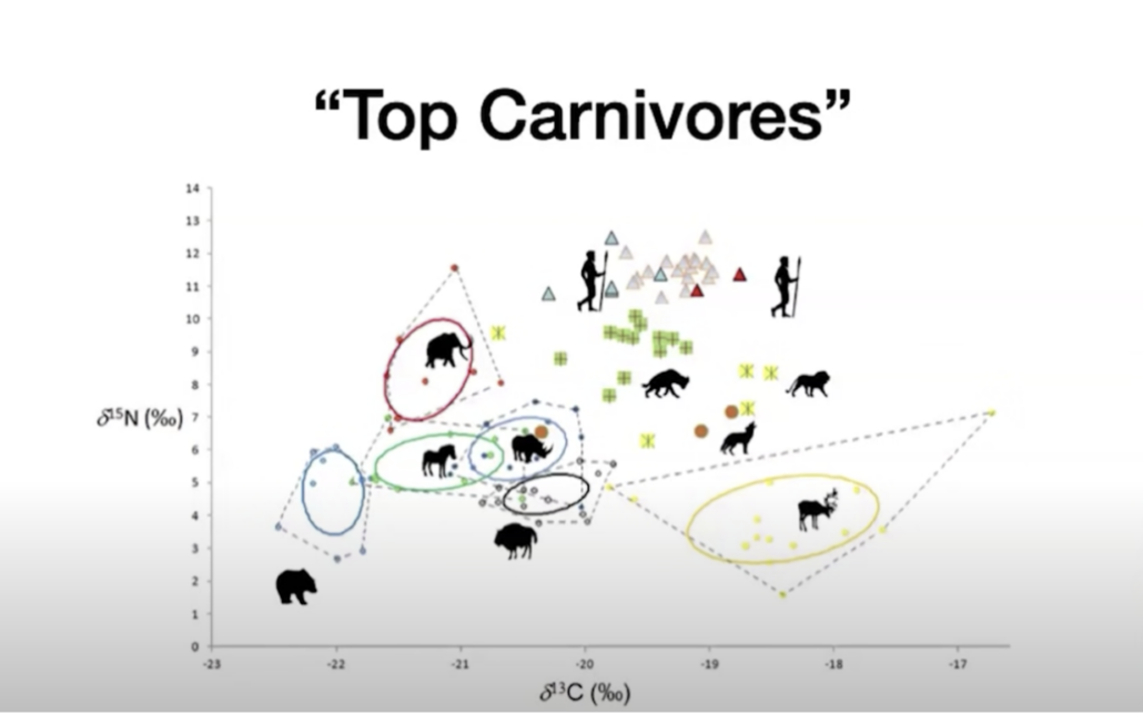 graph showing humans as apex carnivores