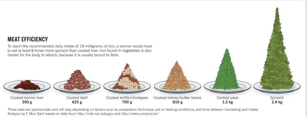 graphic comparing nutrient density between meat and vegetables