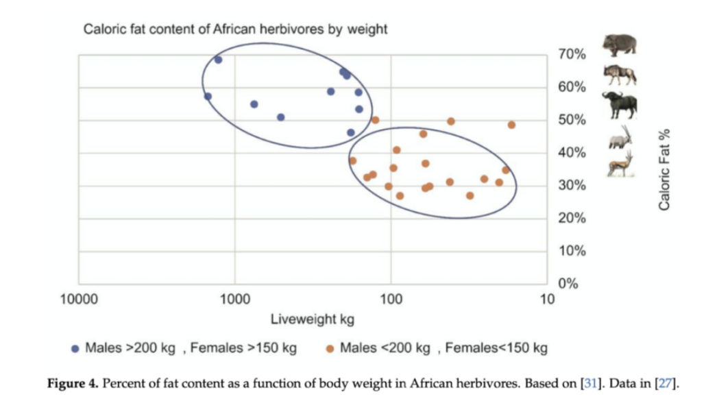 chart showing relative fat content to animal size