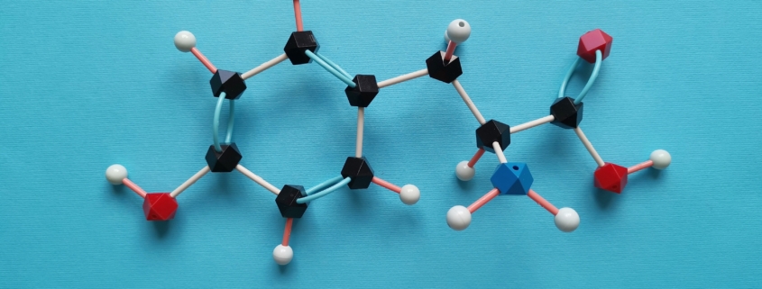 Molecular structure model of tyrosine molecule. Tyrosine (Tyr or