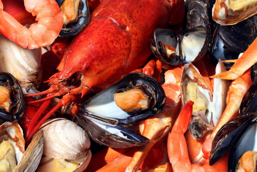 Shellfish plate of crustacean seafood as fresh lobster steamed clams mussels shrimp and crab as an ocean gourmet dinner background.