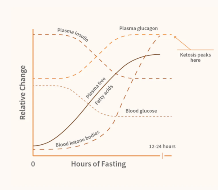 Intermittent Fasting and Brain Function Benefits and Mechanisms Dr
