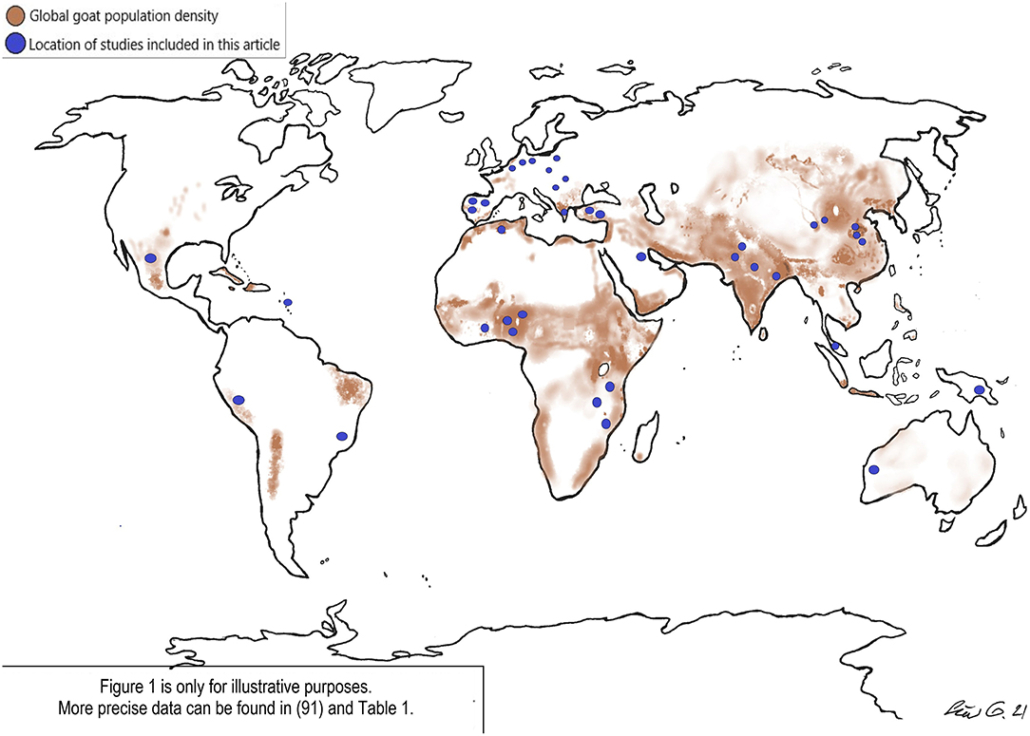 map showing global goat populations