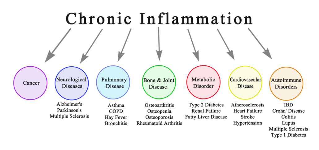 Seven Consequences of Chronic Inflammation