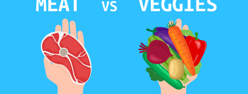 meat versus veggies. hands holding fresh vegetables and beef steak vegetarian concept vector illustration