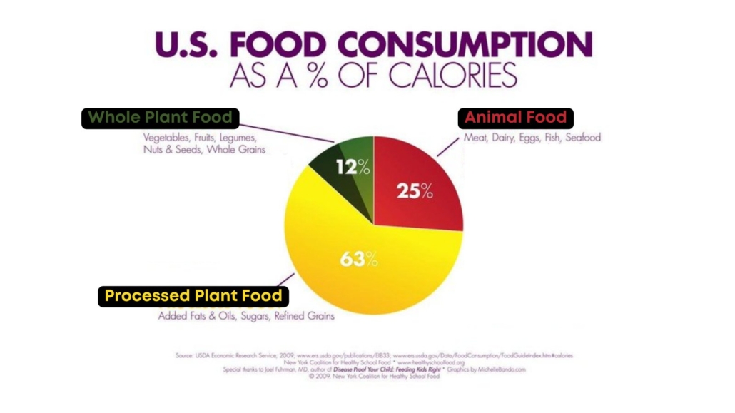 pie graph of calories from various food groups
