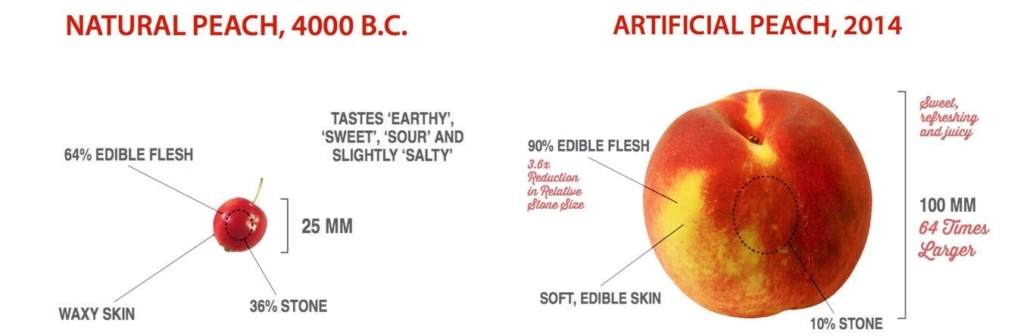 prehistoric vs modern peach