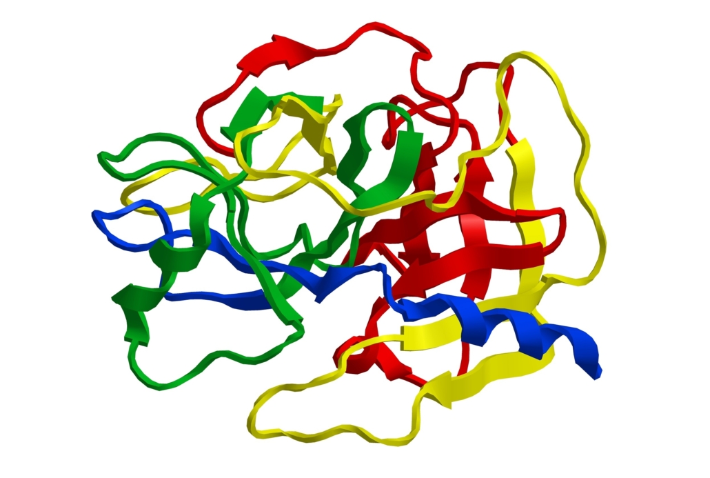 Molecular structure of trypsin - enzyme cleaves peptide chains mainly at the carboxyl side of the amino acids lysine or arginine