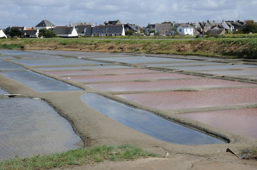 celtic sea salt drying ponds