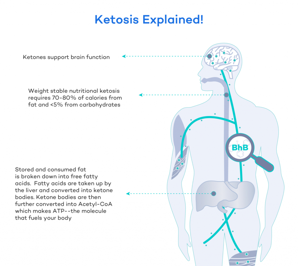 diagram of how ketogenic diet works in body